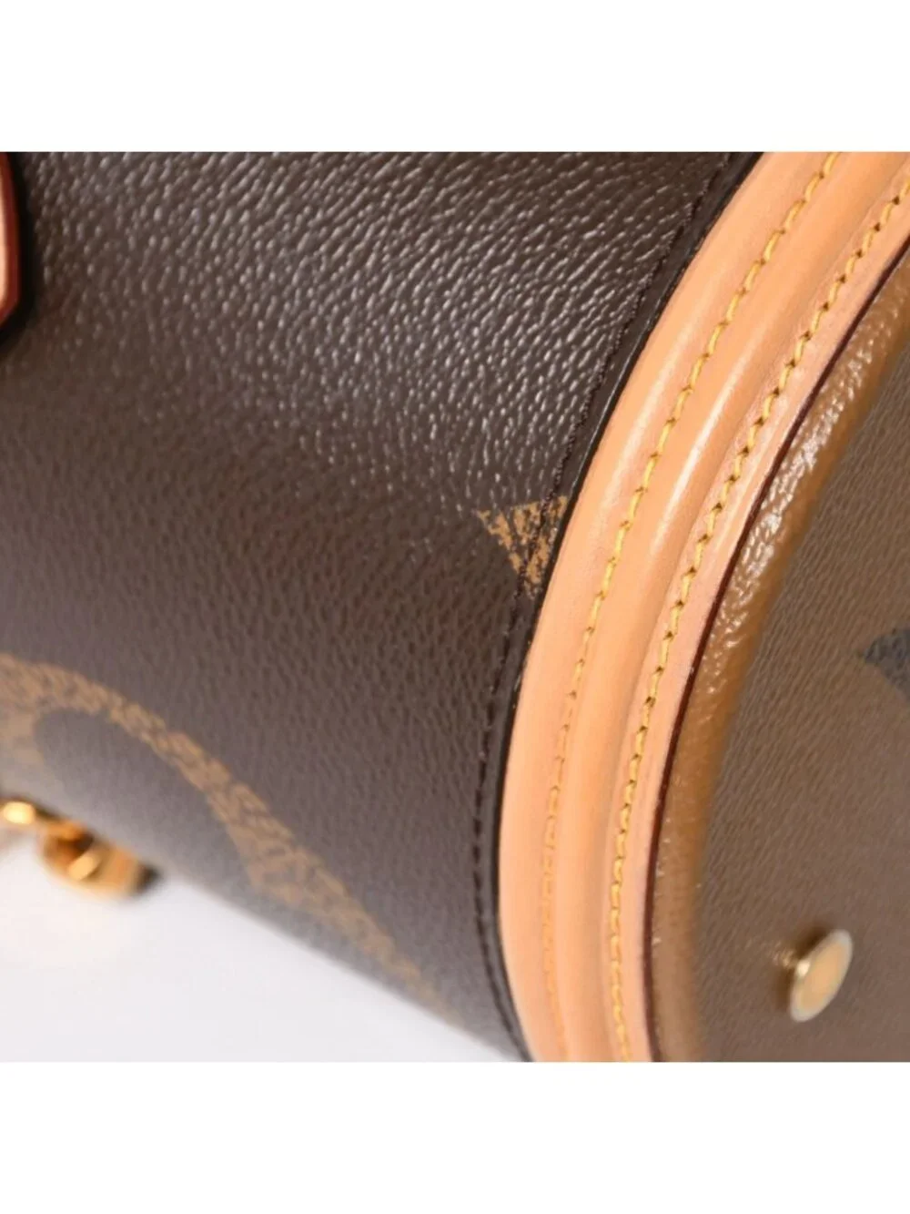 Louis Vuitton Cannes Vanity Monogram Giant Brown Reverse Shoulder Bag